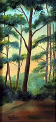 The Light in the Woods